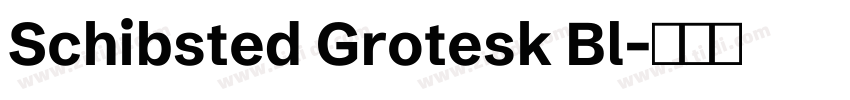 Schibsted Grotesk Bl字体转换
